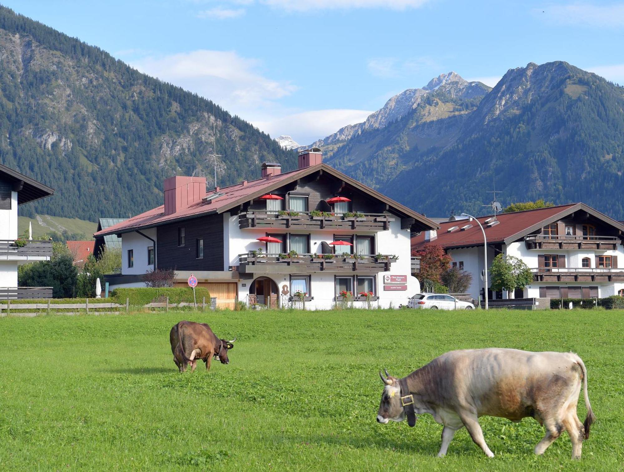 Best Western Plus Hotel Alpenhof Оберстдорф Экстерьер фото