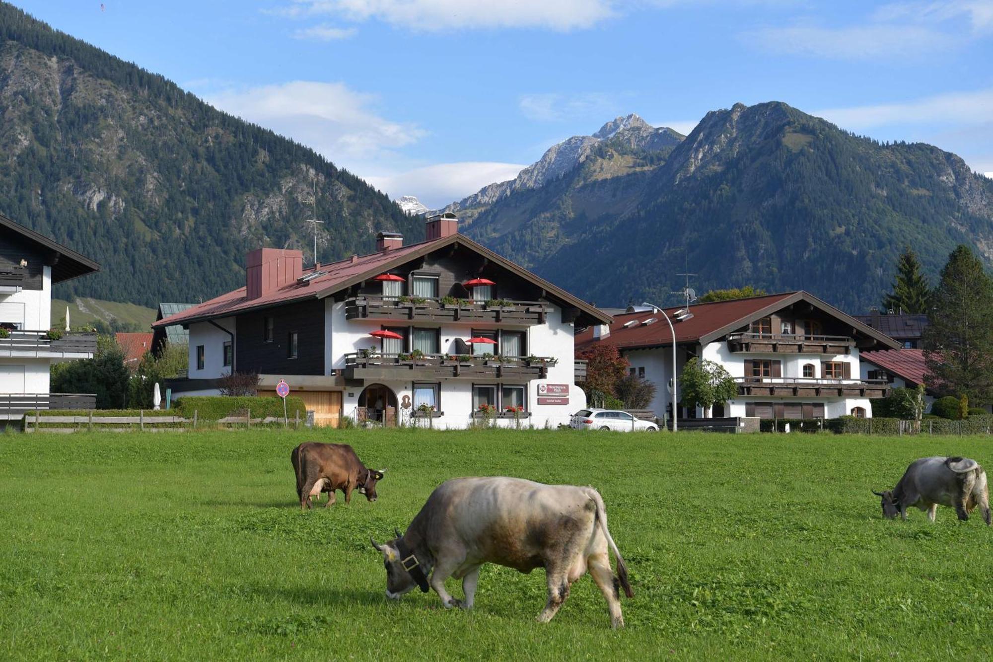 Best Western Plus Hotel Alpenhof Оберстдорф Экстерьер фото
